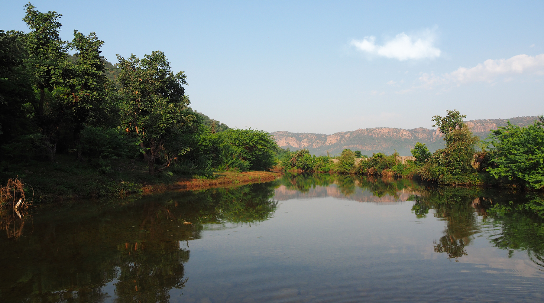 Ranthambore Raj Bagh Talao